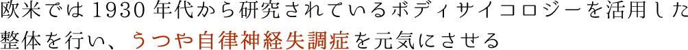 欧米では1930年代から研究されているボディサイコロジーを活用した整体を行い、うつや自律神経失調症を元気にさせる